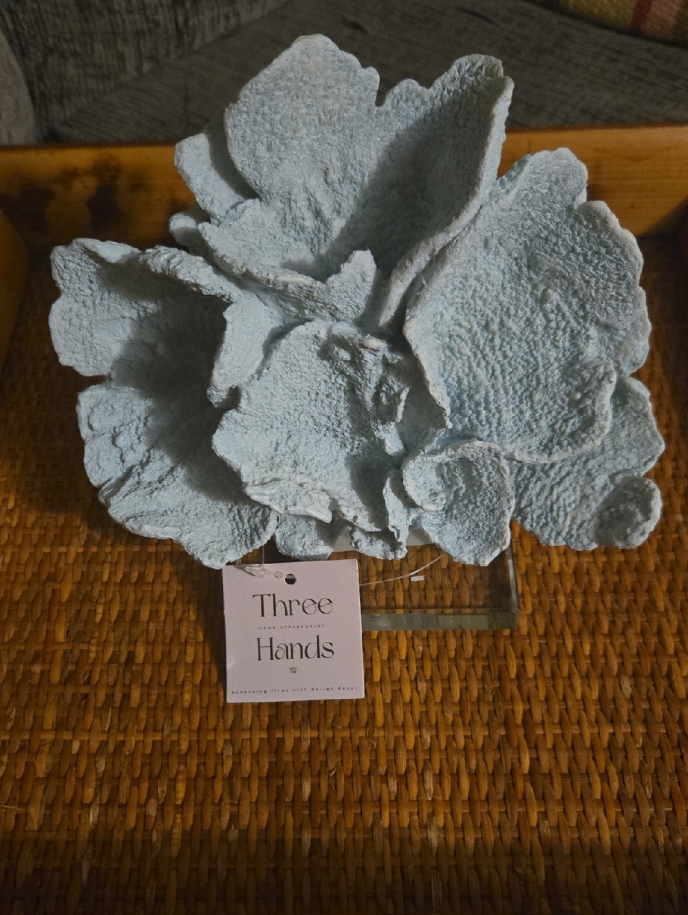 Pale Blue Coral Decorative Accent